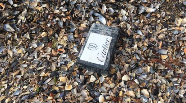 medic cine incearca drogurile ar putea muri subit