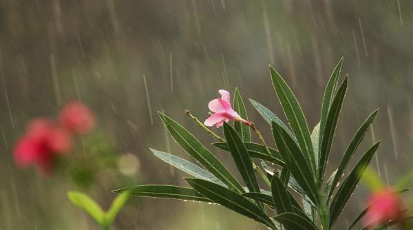 prognoza meteo pentru 22 aprilie 20 mai 2019 cum va fi vremea de paste si 1 mai