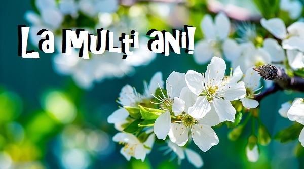 60 de idei pentru urari de florii si 60 de nume inspirate de flori