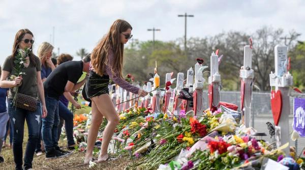 sua profesorii inarmati si cu drept de riposta