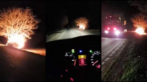 tragedie in vinerea patimilor un sofer a ars de viu dupa ce s a izbit cu masina de copac