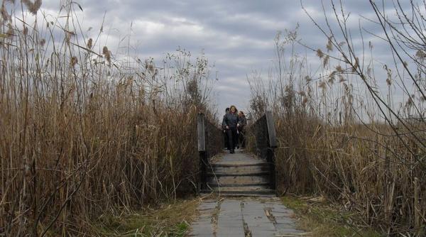 o noua delta aproape de bucuresti