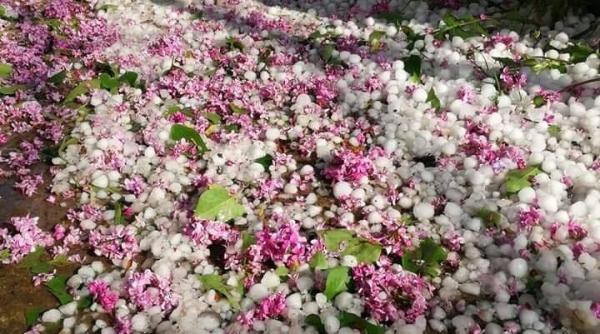 galerie foto grindina a facut prapad in judetul botosani