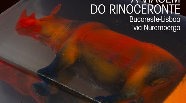 expozitia colectiva calatoria rinocerului de la bucuresti la lisabona via nurnberg la galeria icr lisabona