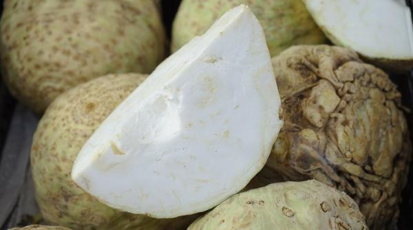 beneficiile miraculoase ale radacinoaselor