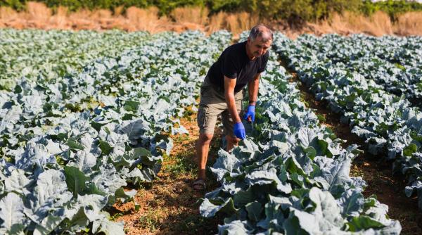 pentru romani munca in agricultura e rusinoasa