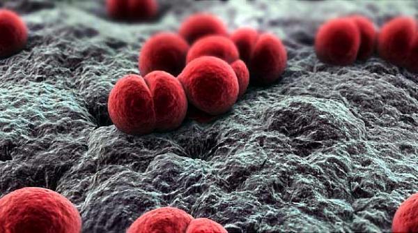 meningita de la cauza la tratament