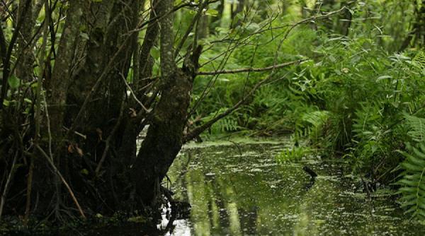 taul fara fund locul misterios care rapeste suflete si tamaduieste boli 1