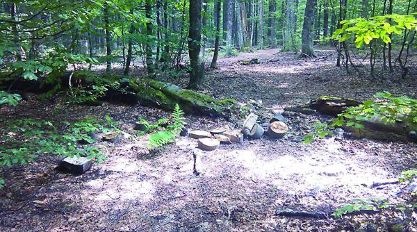 apia sesiunea de depunere a cererilor de sprijin pentru dezvoltarea zonelor impadurite a fost prelungita