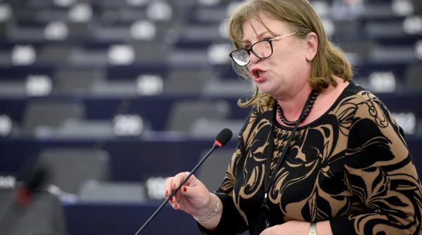 norica nicolai sustine ca referendumul pe justitie nu poate fi validat