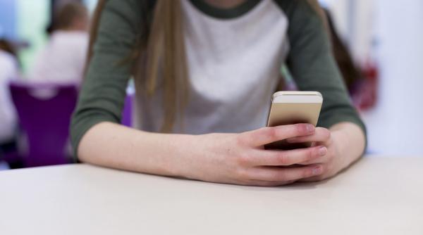 dispare dirigintele apare consilierul de orientare profesionala