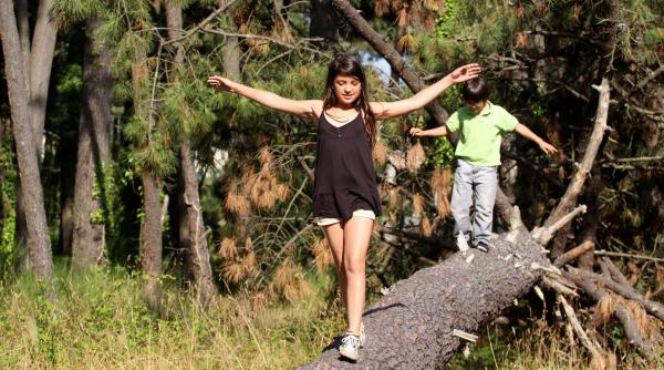 mts renunta la taberele scolare