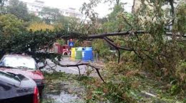vremea a facut ravagii in giurgiu copaci rupti localitati fara energie electrica si culturi afectate