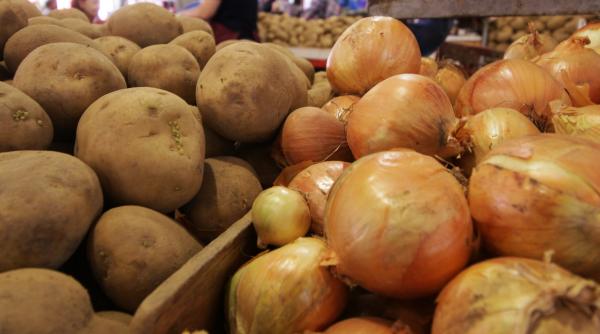 madr plafoanele masurilor de sprijin cuplat in sectorul vegetal