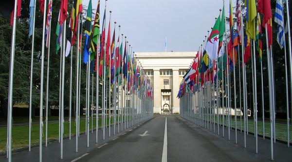 o rusoaica devine prima femeie numita in fruntea biroului onu de la geneva