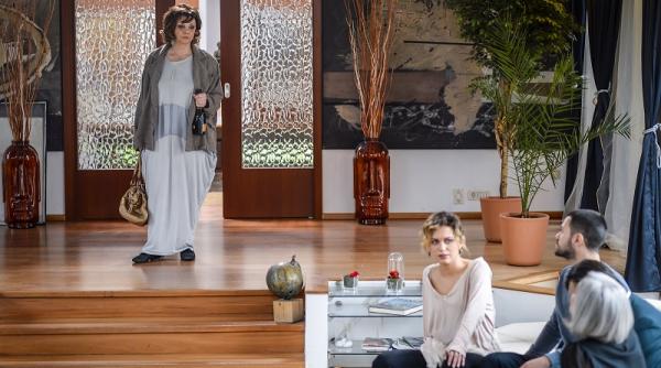 fructul oprit sezonul 2 episodul 38 tu si cu mine o nunta ca n povesti