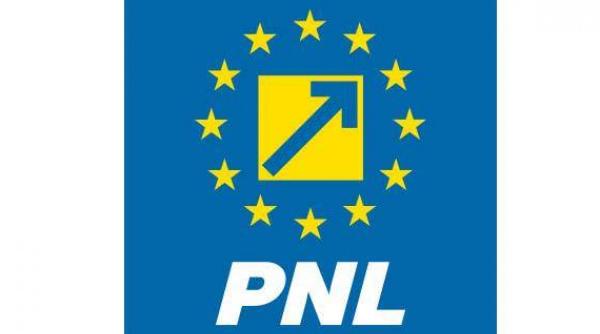 pirtea pnl romania nu a obtinut un loc in cs al onu din cauza declaratiei neinspirate a premierului dancila