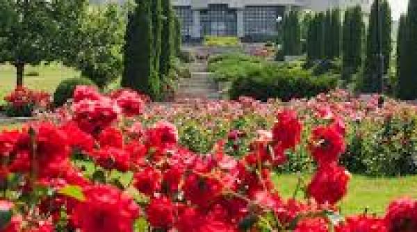 primul spatiu verde din romania cu banci solare si wifi gratuit in gradina botanica din bucuresti