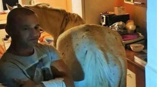 ce tinea in apartamentul de la bloc un barbat din satu mare vecinii au chemat politia