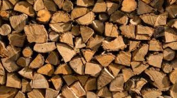 caras severin transport de material lemnos fara documente legale