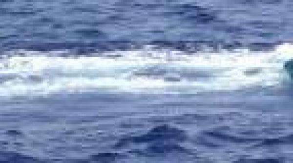 opt persoane care igienizau un rau salvate de pompieri dupa ce barca lor s a spart