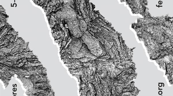 participare romaneasca la festivalul international de arta urbana walk talk 2019