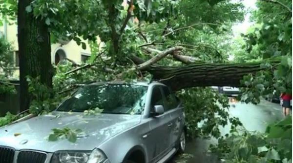 copaci doborati de vant in ploiesti