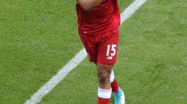 fotbal daniel sturridge si a regasit cainele care i fusese furat