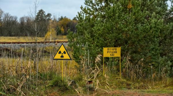 ucraina noul sarcofag de la cernobil a fost pus in functiune