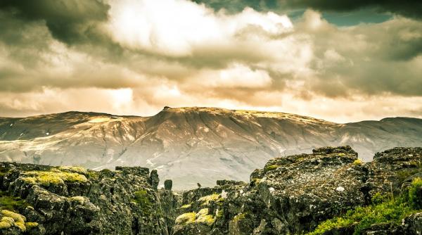 islanda replanteaza padurile puse la pamant de vikingi