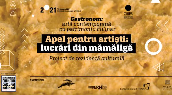 apel pentru artisti lucrari din mamaliga