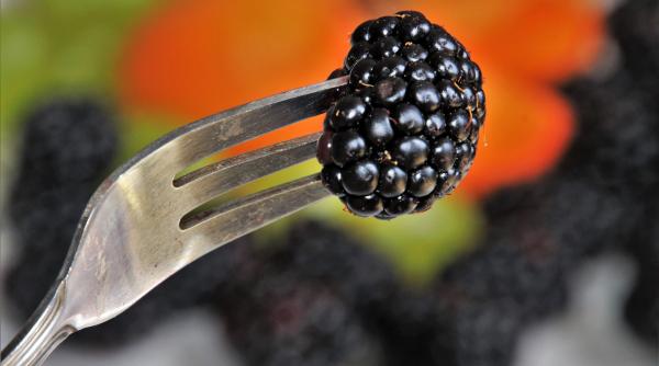 beneficiile murelor pentru sanatate