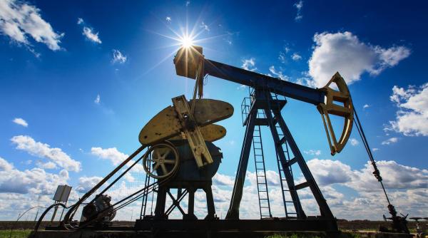 28 de perimetre petroliere scoase la licitatie