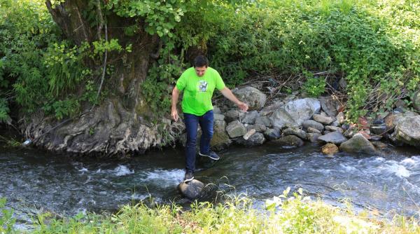 observator continua campania avem o tara frumoasa cum ajungem la ea