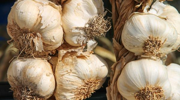 usturoiul ce beneficii are pentru sanatate