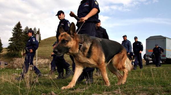 tulcea o adolescenta de 16 ani este cautata de politisti dupa ce a disparut de la domiciliu in urma cu aproape o saptamana