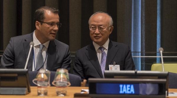 consiliul guvernatorilor aiea discuta joi numirea unui nou director