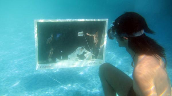 iasul gazduieste prima expozitie subacvatica la pleiada boutique hotel waterlear te invita la o experienta unica