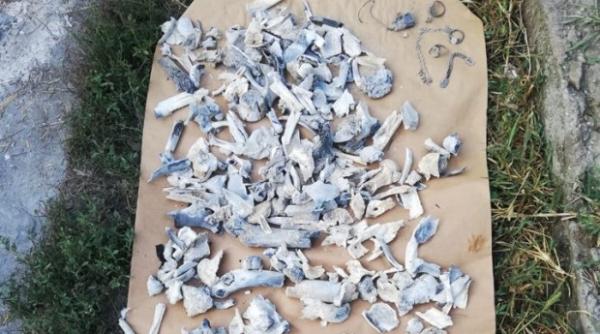 oasele gasite in curtea lui gheorghe dinca sunt umane si apartin unui copil