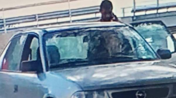 tanarul care a impuscat in cap un barbat in ilfov a fost prins de politie