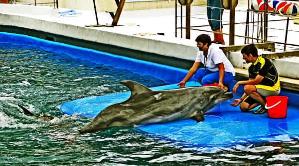 ministrul turismului a semnat un contract de finantare pentru extinderea delfinariului din constanta in valoare de peste 26 milioane lei