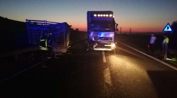 accident grav pe dn1 cinci persoane intre care un copil au fost ranite