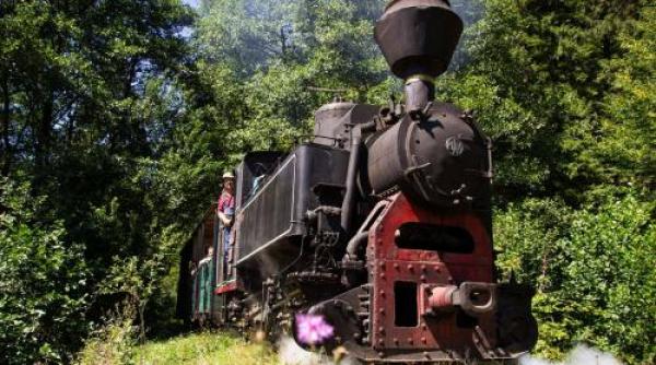 panica in maramures un vagon al trenului mocanita a deraiat