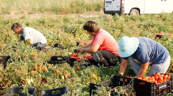de ce sclavia moderna nu poate fi abolita