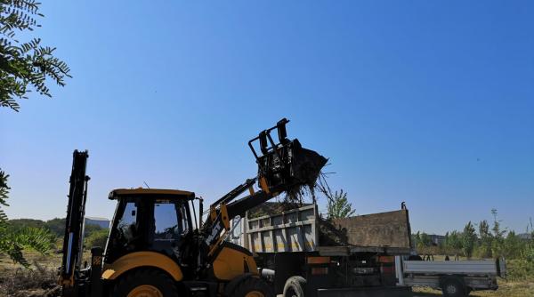 primaria capitalei deruleaza o campanie de salubrizare pe o serie de terenuri situate in zone intens tranzitate