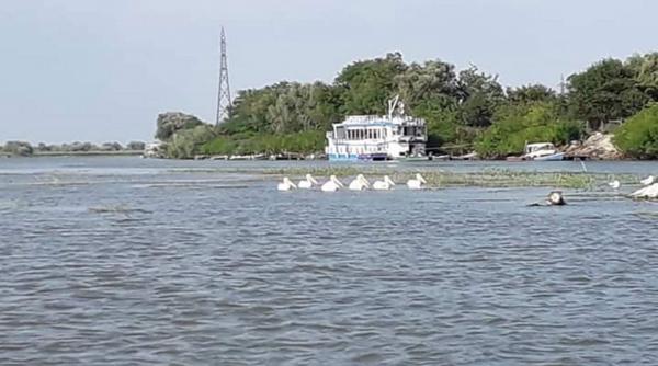 tulcea accesul turistilor interzis pe insula k din golful musura