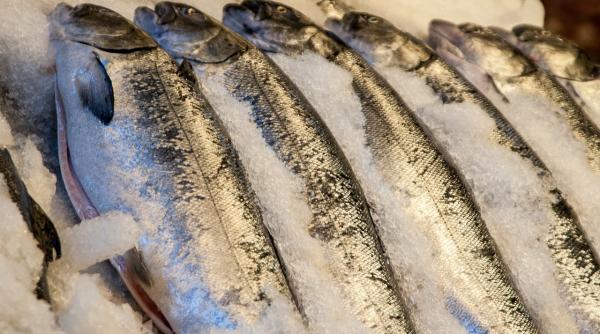 22 de tone de peste si produse din peste necoforme retrase de la comercializare