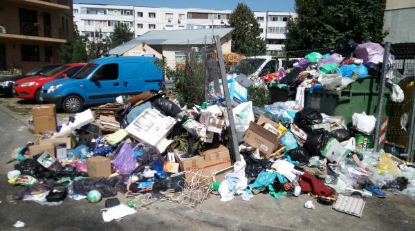 ploiesti orasul cu munti de gunoaie si savane de buruieni