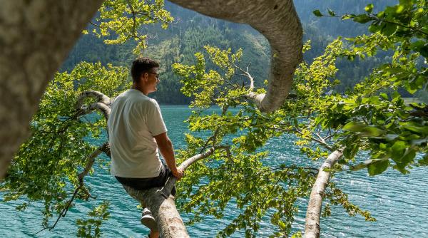 horoscop 11 septembrie 2019 foloseste te de acest pont pretios pentru ca lucrurile revin la normal daca il valorifici cu incredere