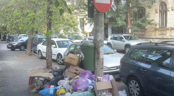 razboiul gunoaielor in sectorul 5